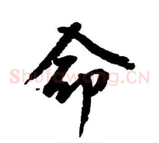 命