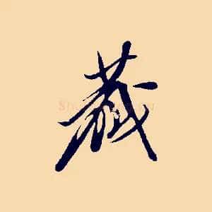 藏