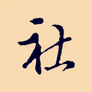 社