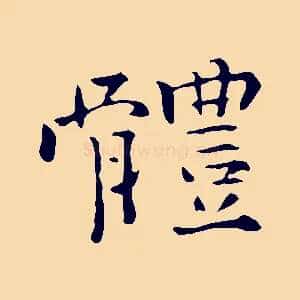 體
