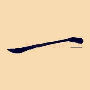 一