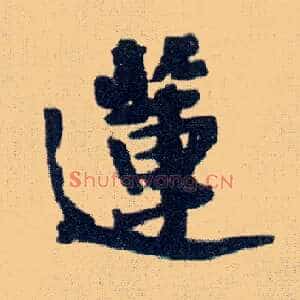 莲