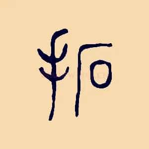 拓
