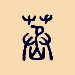 蒸