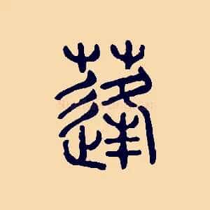 蓬