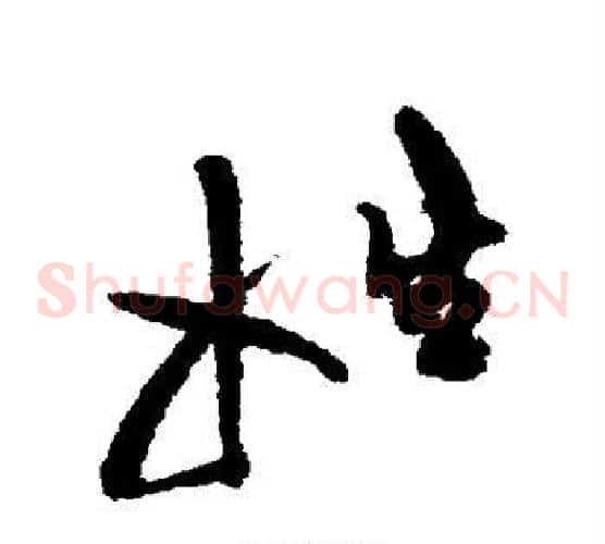 姓