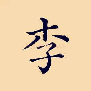 李