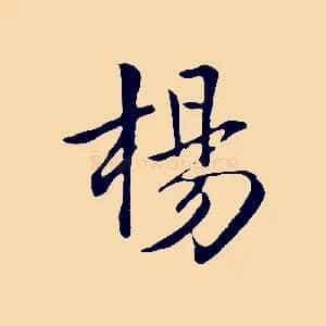 楊