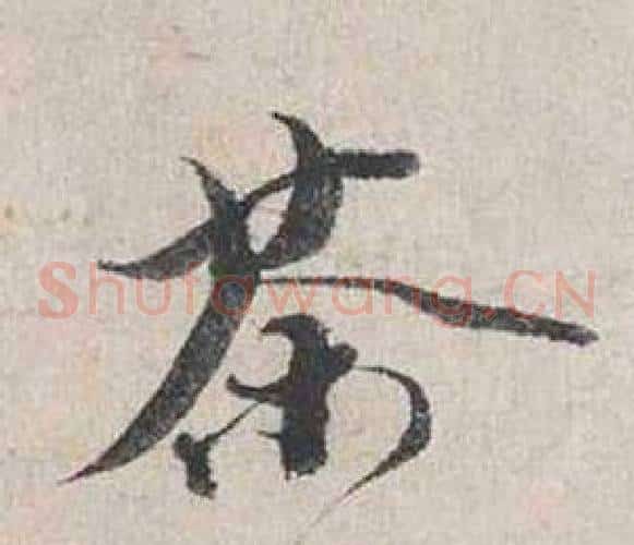 茶