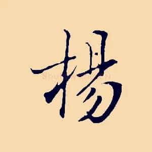 楊