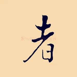 者