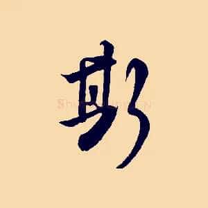 斯