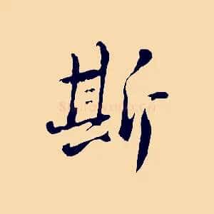 斯