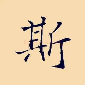 斯