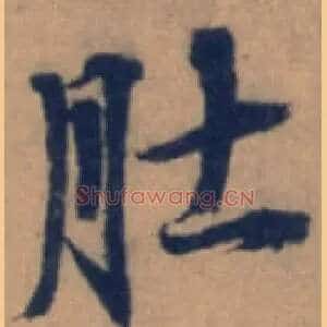 肚