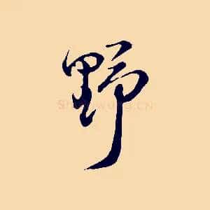 野