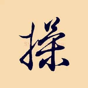 操