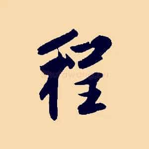 程