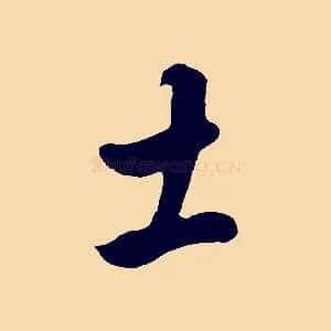 土