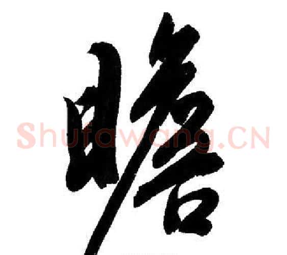 瞻