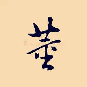 董