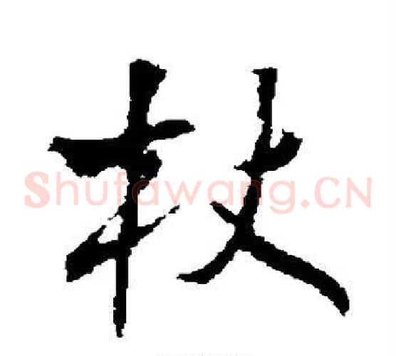 杖