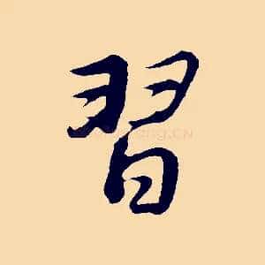 習