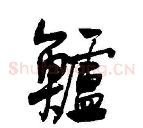 鱸