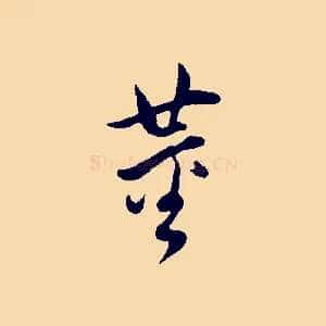 董