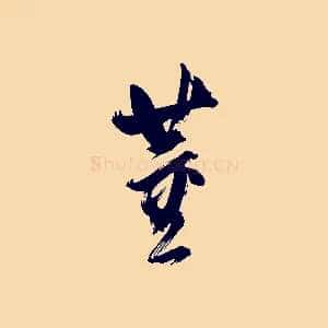 董