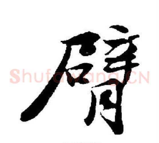 臂