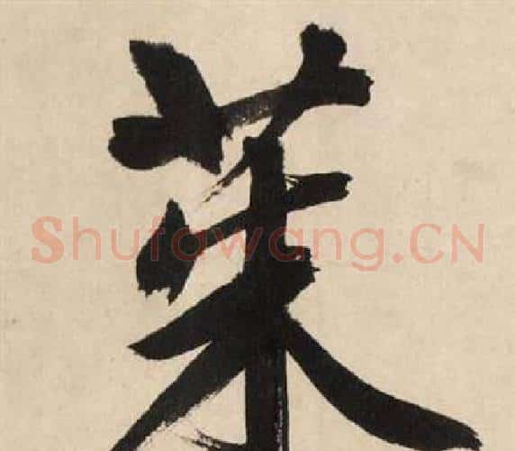 茱