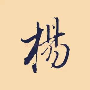 楊