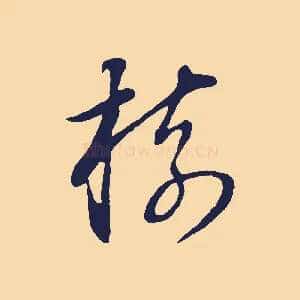 樹