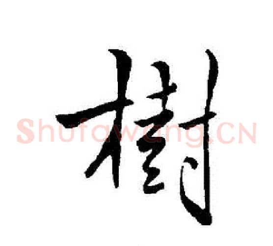 樹