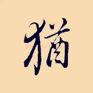 猶