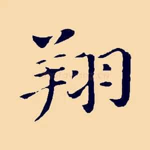 翔