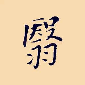翳