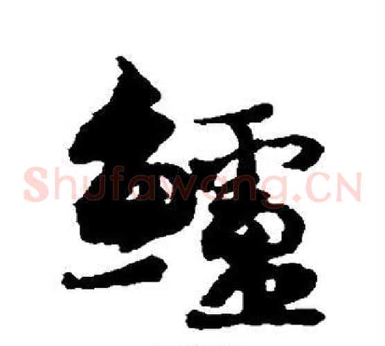 鲈