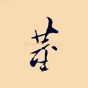 董