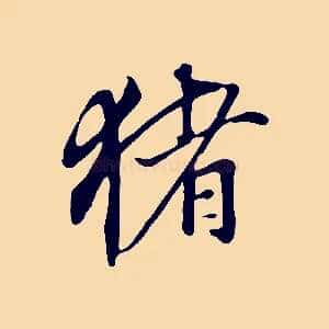 豬