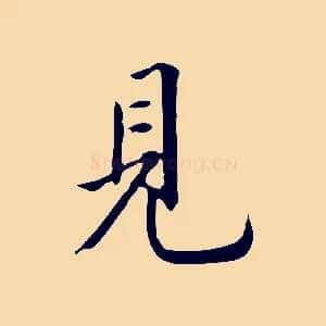 見