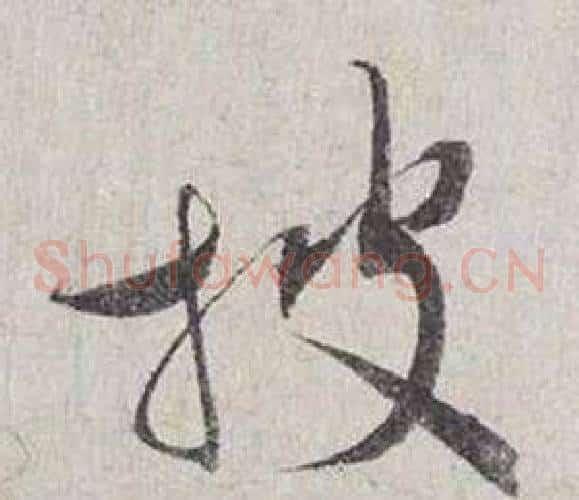 披