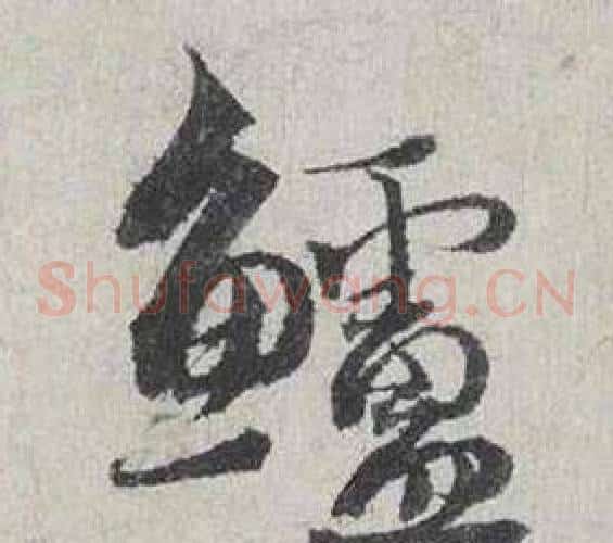 鱸