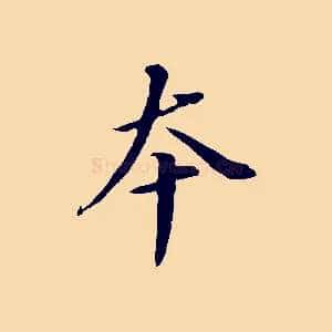 本
