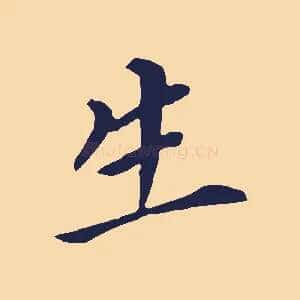 生