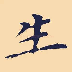 生