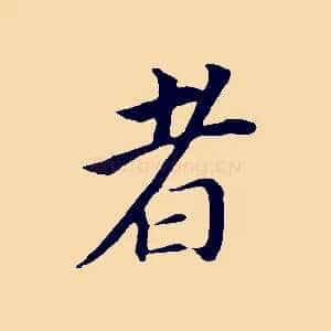 者