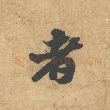 者