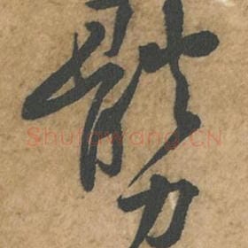 体